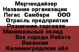 Мерчендайзер › Название организации ­ "Пегас" Самбери-3, ООО › Отрасль предприятия ­ Розничная торговля › Минимальный оклад ­ 23 500 - Все города Работа » Вакансии   . Калининградская обл.